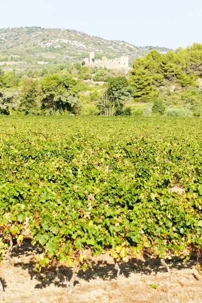 Castelo em Durban-Corbiere com vinhas, Languedoc-Roussillon , — Fotografia de Stock