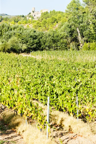 Slottet i durban-corbiere med vingårdar, languedoc-roussillon, — Stockfoto