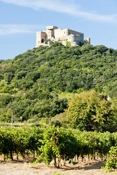 Замок Сен-Мартен с виноградником, Лангедок-Руссийон, Франция — стоковое фото