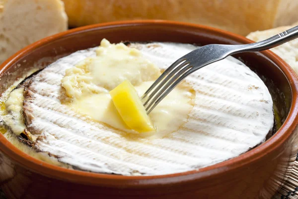 Peynir Fondü — Stok fotoğraf