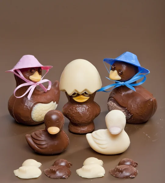 Cokelat Paskah — Stok Foto