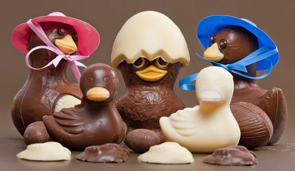 Húsvéti csokoládé — Stock Fotó