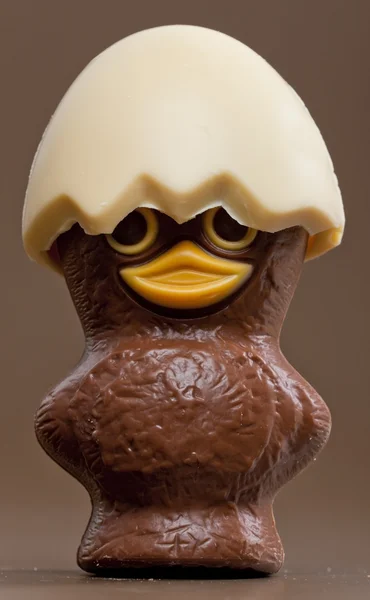 Chocolate de Pascua —  Fotos de Stock