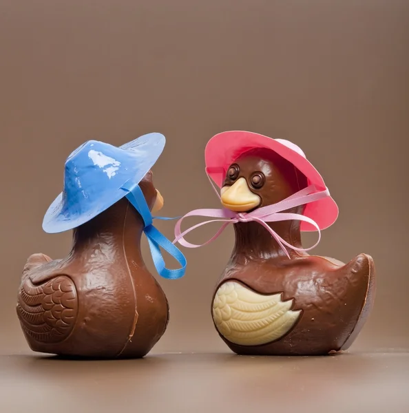 Cokelat Paskah — Stok Foto