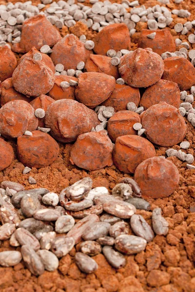 Trufas de chocolate y granos de cacao en cacao —  Fotos de Stock