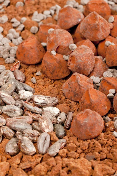 Chocolate truffles and cocoa beans in cocoa — Stock Photo, Image