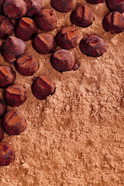 Trufas de chocolate en cacao —  Fotos de Stock