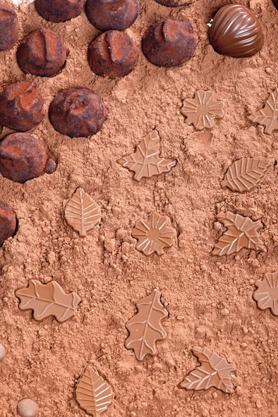 Натюрморт шоколада в какао — стоковое фото