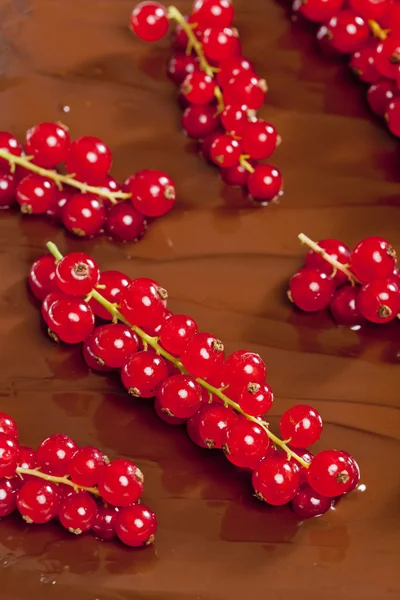 Schokoladenfondue mit roten Johannisbeeren — Stockfoto