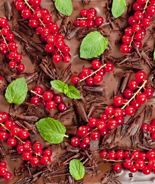 Red currant and mint with chocolate — Stock Photo, Image