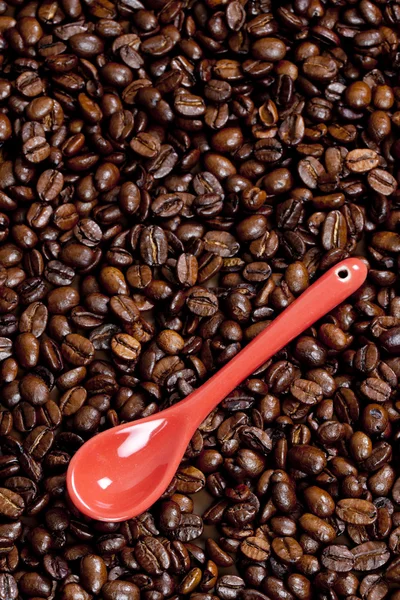 Чайная ложка с кофейными зёрнами — стоковое фото