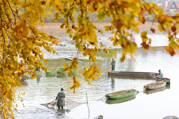 池、チェコ共和国の収穫 — ストック写真
