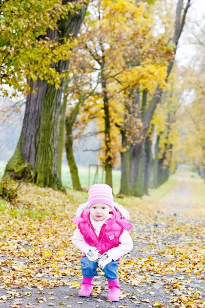 紅葉の路地の小さな女の子 — ストック写真