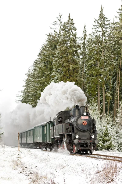 Treno a vapore vicino a Hradsko, Repubblica Ceca — Foto Stock