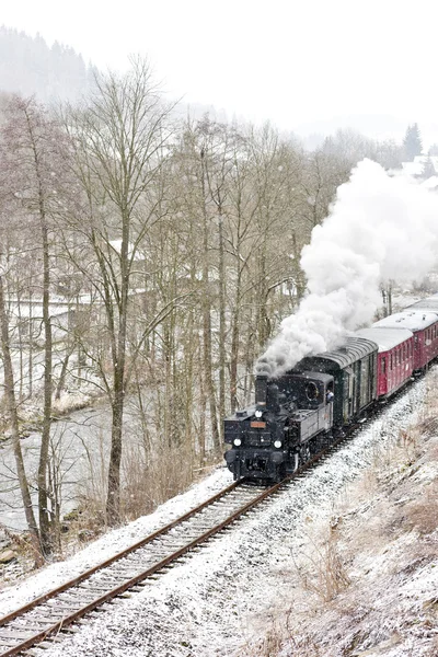 Buharlı tren yakınındaki hradsko, Çek Cumhuriyeti — Stok fotoğraf