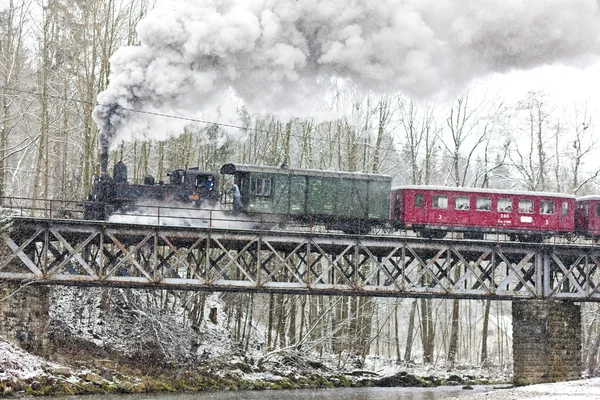 Treno a vapore vicino a Hradsko, Repubblica Ceca — Foto Stock