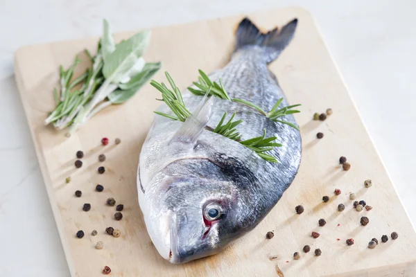 Raw bream with herbs — Stock Photo, Image