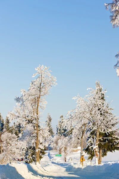 Orlicke-Gebirge im Winter, Tschechien — Stockfoto