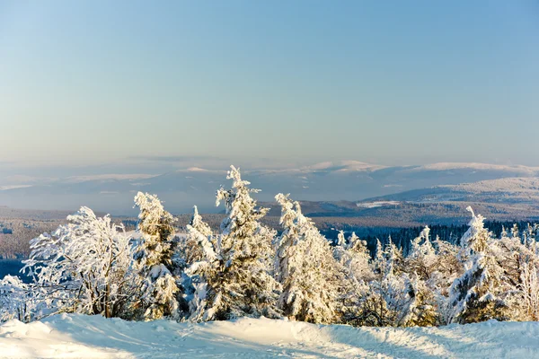 Montañas Orlicke en invierno, República Checa — Foto de Stock