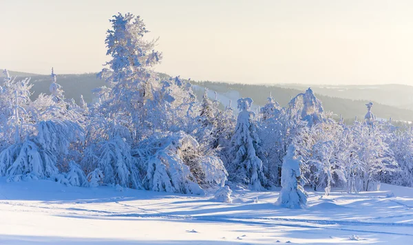 捷克共和国冬季的Orlicke山脉 — 图库照片