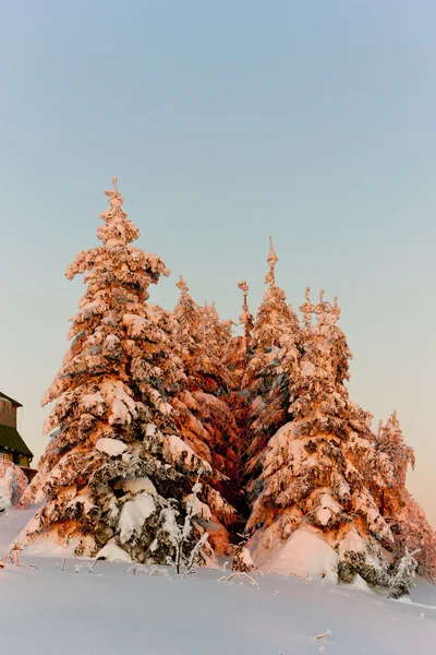 Orlicke Mountains in winter, República Checa — Fotografia de Stock