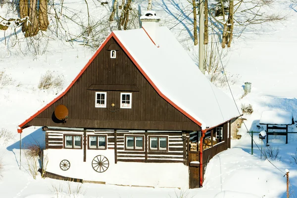 Casa de campo en invierno, Bartosovice en las montañas de Orlicke, República Checa — Foto de Stock