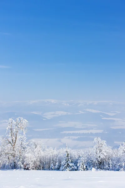 Jeseniky Montagne in inverno, Repubblica Ceca — Foto Stock