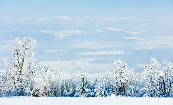Jeseniky gebergte in de winter, Tsjechië — Stockfoto