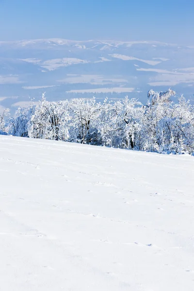 Jesionikach w zimie, Republika Czeska — Zdjęcie stockowe