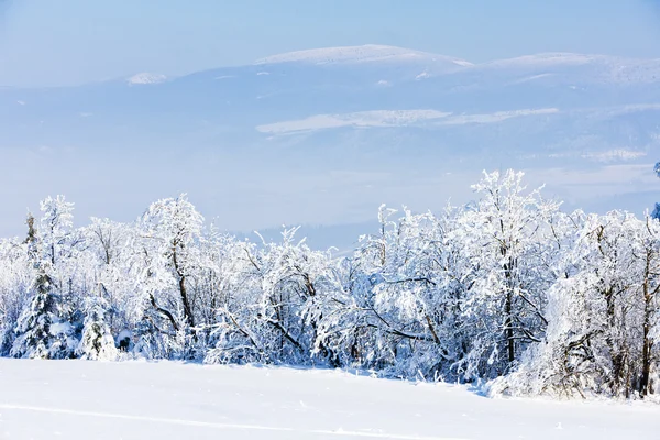 Jeseniky Berge im Winter, Tschechische Republik — Stockfoto