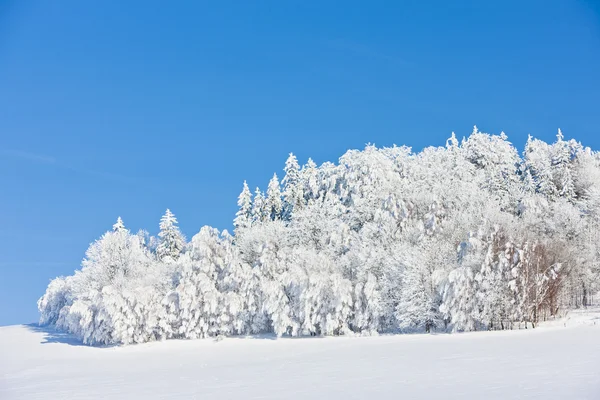Jesionikach w zimie, Republika Czeska — Zdjęcie stockowe