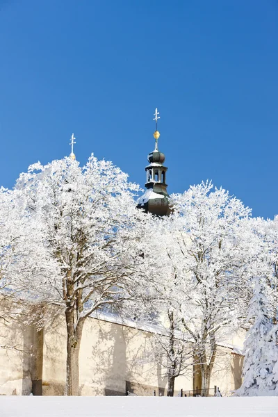 Guds Moder Bjerg, Kraliky Kloster, Tjekkiet - Stock-foto
