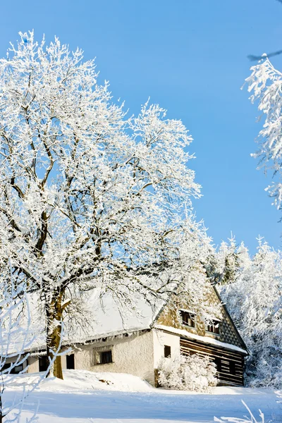 겨울, jeseniky, 체코 공화국에서 코 티 지 — 스톡 사진
