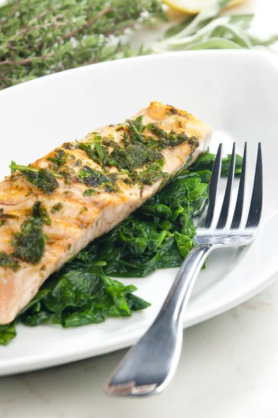 stock image Grilled salmon with herbs on fried spinach