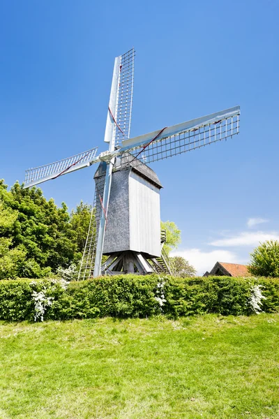 Větrný mlýn terdeghem, nord-pas-de-calais, Francie — Stock fotografie