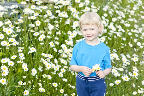 Menina no prado de verão em flor — Fotografia de Stock