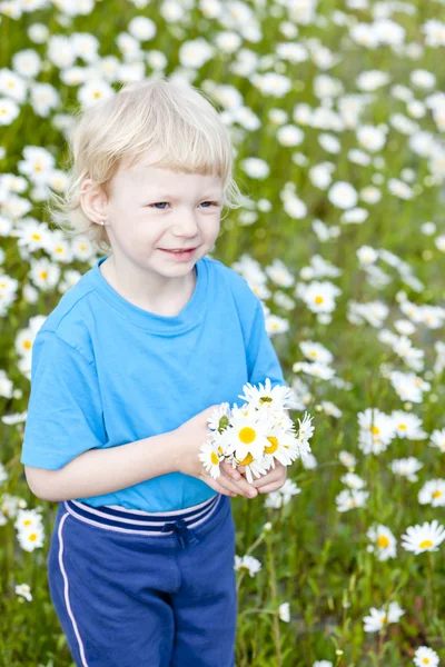 Portrait of little girl on summer meadow in blossom — Stock Photo, Image