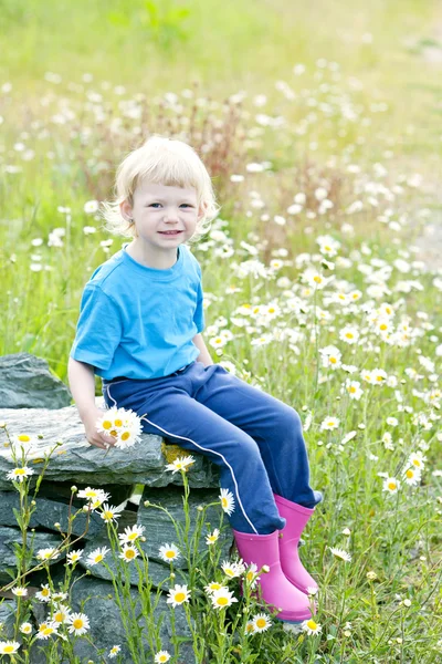 Маленькая девочка, сидящая на летнем лугу в цвету — стоковое фото