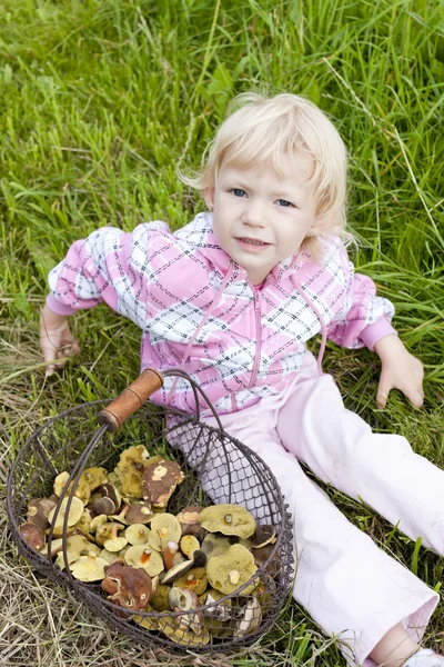Маленькая девочка с корзиной грибов — стоковое фото
