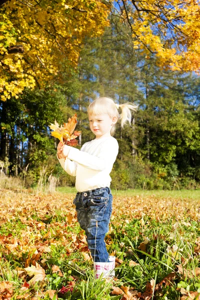 Маленькая девочка в осенней природе — стоковое фото