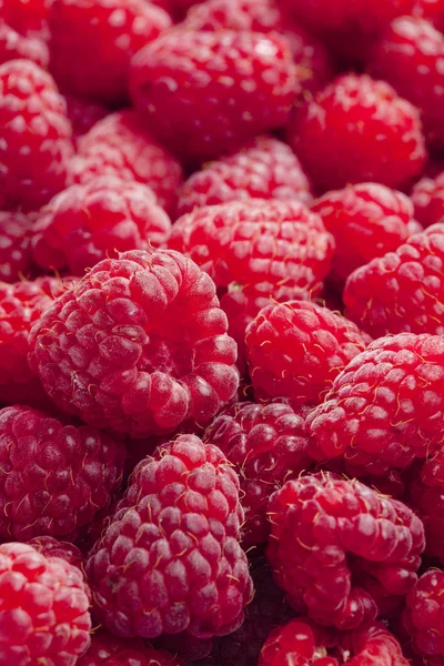 Raspberries Royalty Free Stock Photos