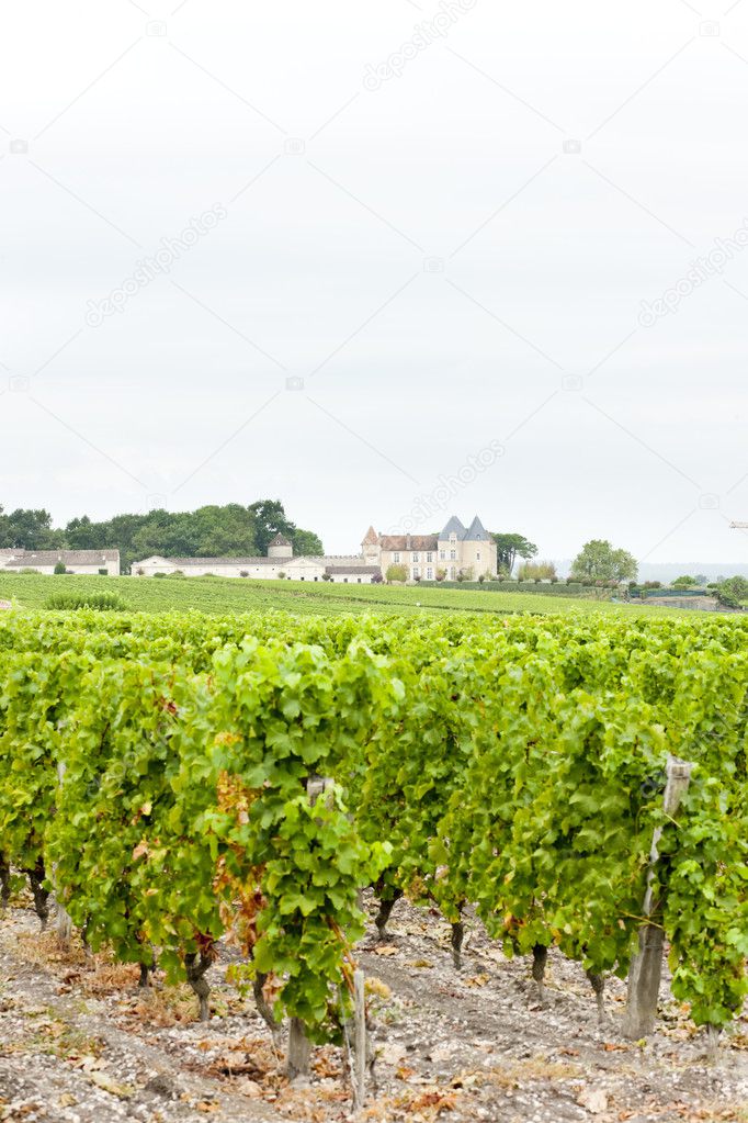 Vineyard and Chateau d'Yquem, Sauternes Region, France