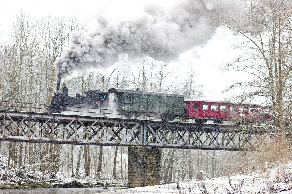 Steam train near Hradsko, Czech Republic