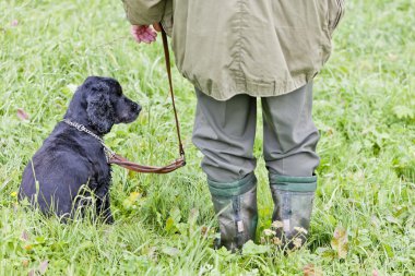 av köpeği hunter ile