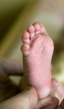Hand holding baby's foot clipart