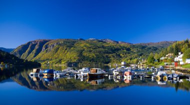 Fjord Ulvik, Norway clipart