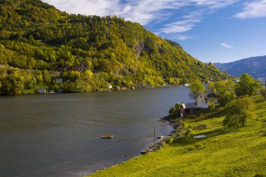 manzara haldanger fjord, Norveç