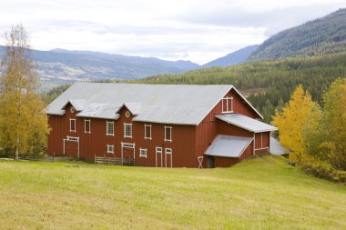 hedal, Norveç