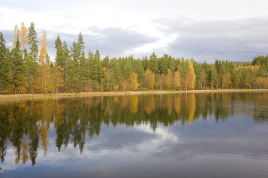 Landscape near Nesbyen, Norway clipart