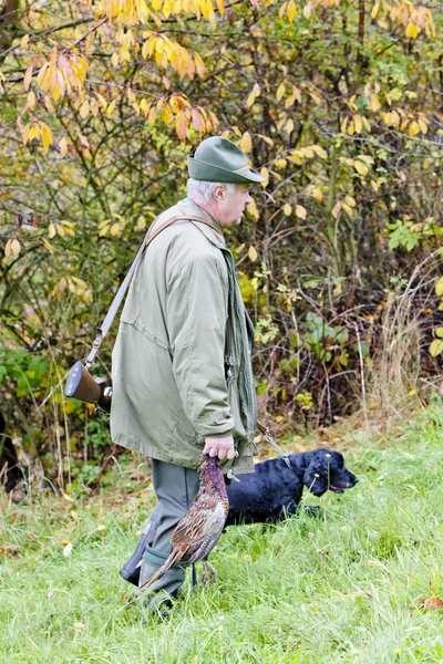 Jager met een hond op jacht — Stockfoto